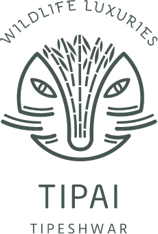 Property Logo